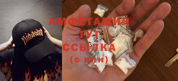 стаф Дмитриев