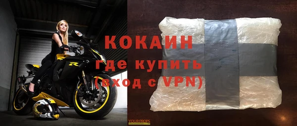 стаф Дмитриев