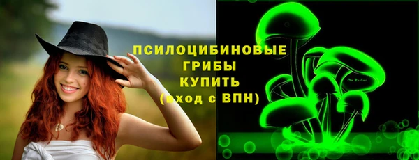 стаф Дмитриев