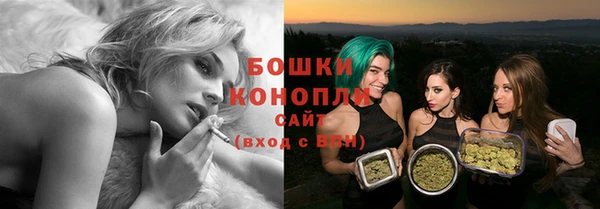 стаф Дмитриев