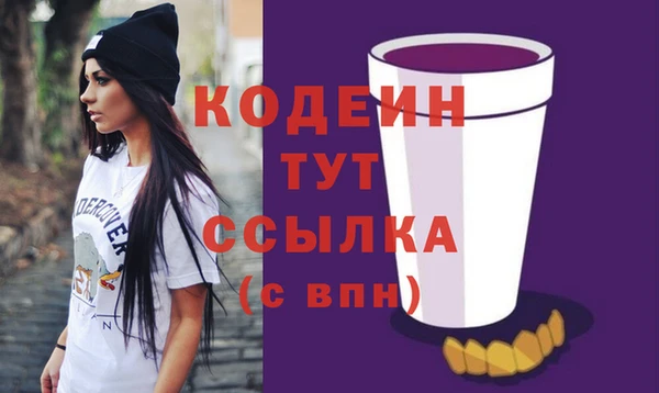 стаф Дмитриев
