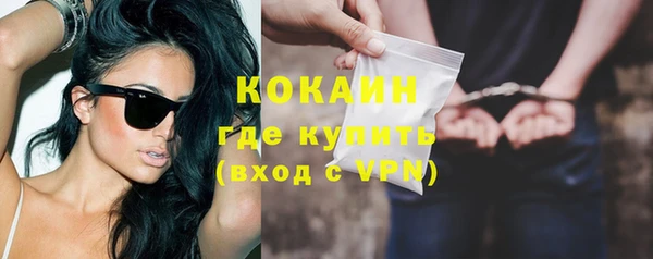 стаф Дмитриев