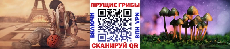 наркотики  OMG зеркало  Псилоцибиновые грибы мухоморы  Красноярск 